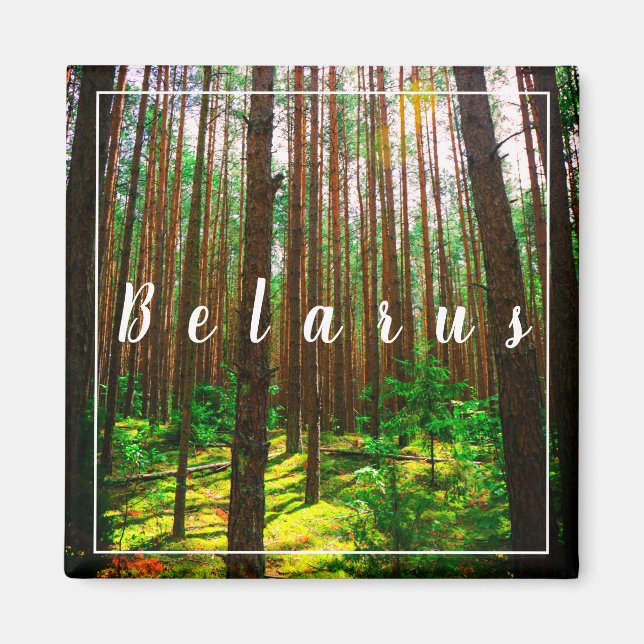 Naturlandskapslandet Forest Belarus Magnet (Framsidan)