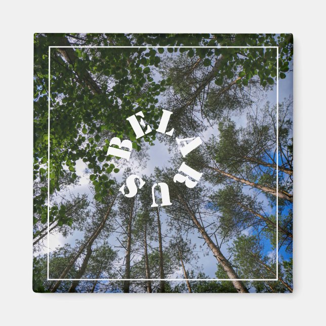 Naturlandskapslandet Forest Belarus Magnet (Framsidan)