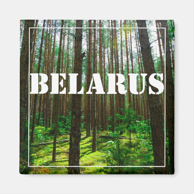 Naturlandskapslandet Forest Belarus Magnet (Framsidan)