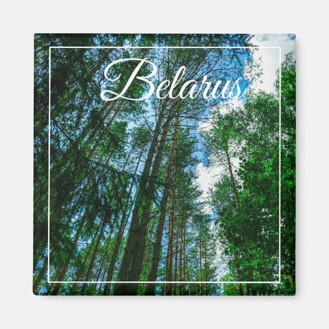 Naturlandskapslandet Forest Belarus Magnet (Framsidan)