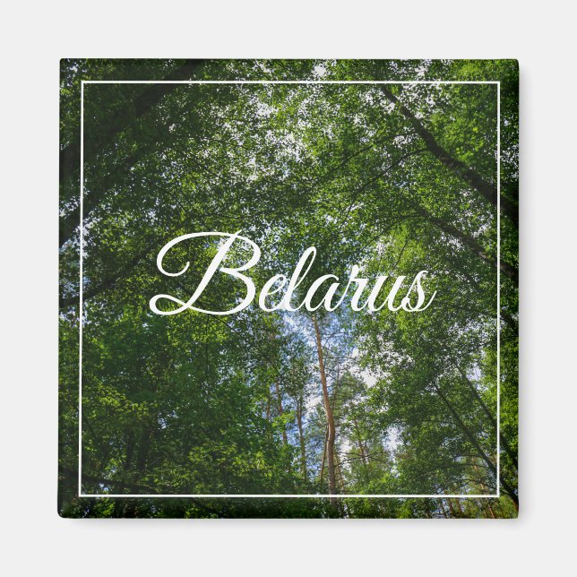 Naturlandskapslandet Forest Belarus Magnet (Framsidan)