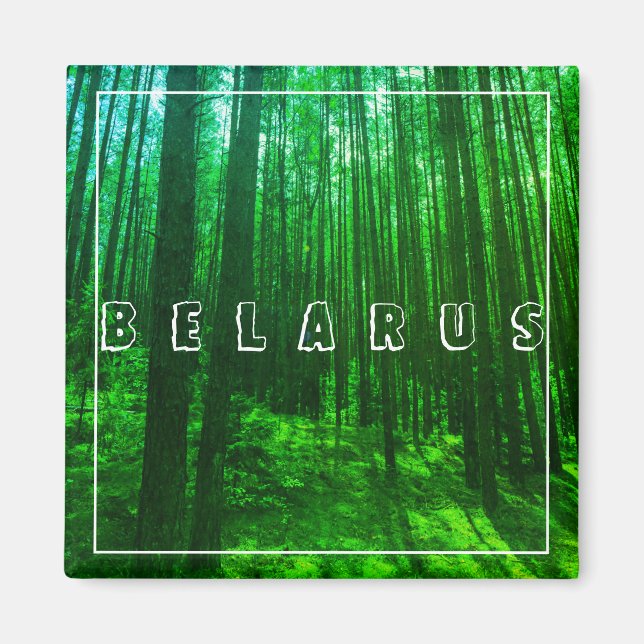 Naturlandskapslandet Forest Belarus Magnet (Framsidan)