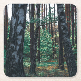 Naturlandskapslandet Forest Birch Träd Underlägg Papper Kvadrat
