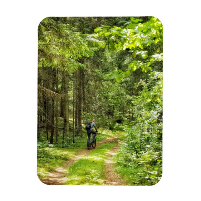 Naturlandskapslandet Forest Biry Belarus Magnet (Vertikal)