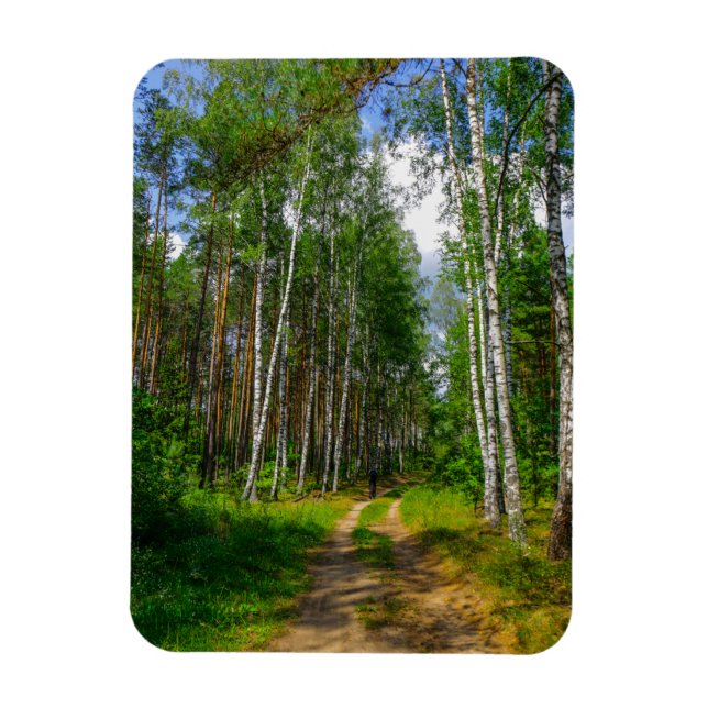 Naturlandskapslandet Forest Biry Belarus Magnet (Vertikal)