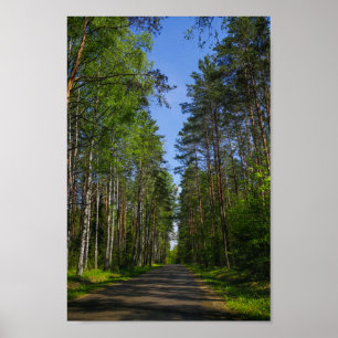 Naturlandskapslandet Forest Biry Belarus Poster