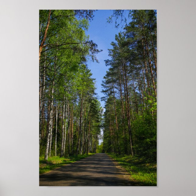 Naturlandskapslandet Forest Biry Belarus Poster (Framsidan)