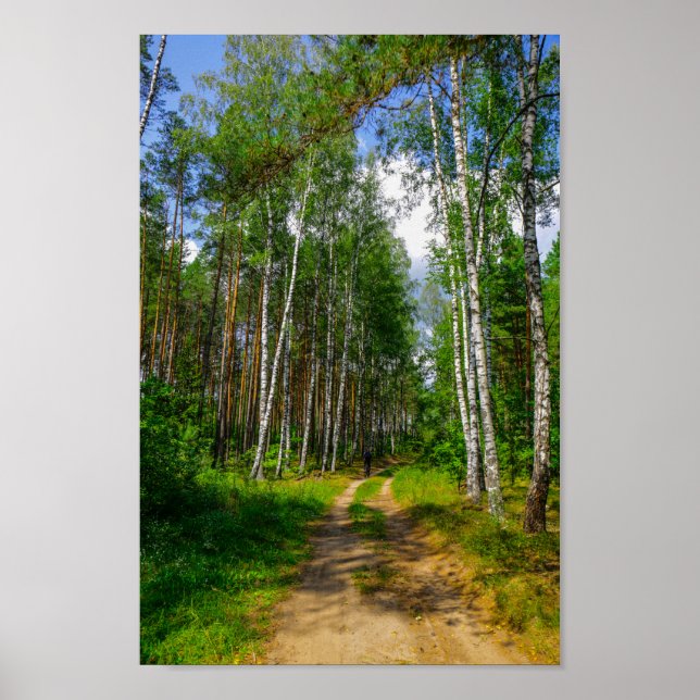 Naturlandskapslandet Forest Biry Belarus Poster (Framsidan)