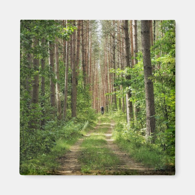 Naturlandskapslandet Forest Träd Vitryssland Magnet (Framsidan)