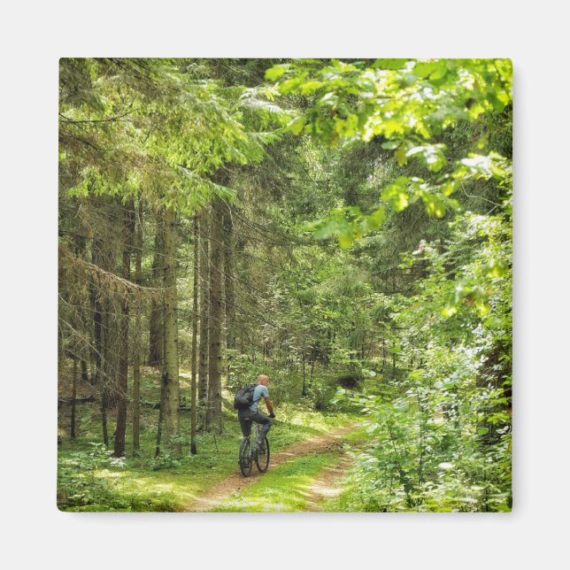 Naturlandskapslandet Forest Träd Vitryssland Magnet (Framsidan)