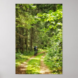 Naturlandskapslandet Forest Träd Vitryssland Poster