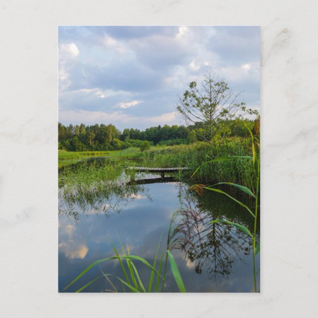Naturlandskapslandet Sjö Vitrysslands vykort (Framsida)
