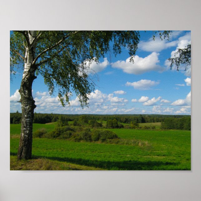 Naturlandskapslandskapet Meadow Belarus Poster (Framsidan)