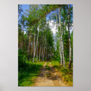 Naturlandskapsområden Skogsfåglar i Vitryssland Poster