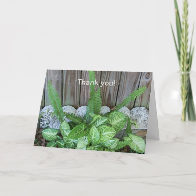 Naturlig anordning av caladium och ormbunkar tack kort (Framsida)