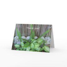 Naturlig arrangemang av kaladium och ferner