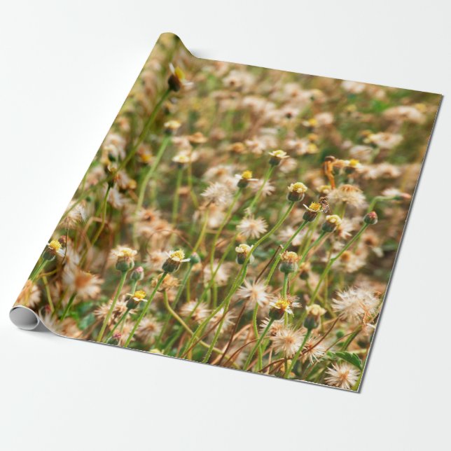 Naturlig bakgrund med gräsbotten presentpapper (Utrullad)