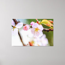 Naturlig blomstersammansättning av Sakura-blommor Canvastryck