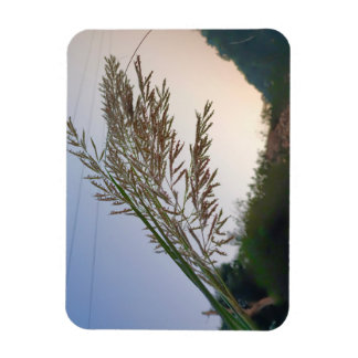 Naturlig design magnet