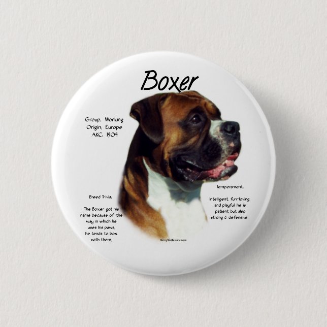 Naturlig Färgad Boxer Möte rasen Knapp (Framsida)