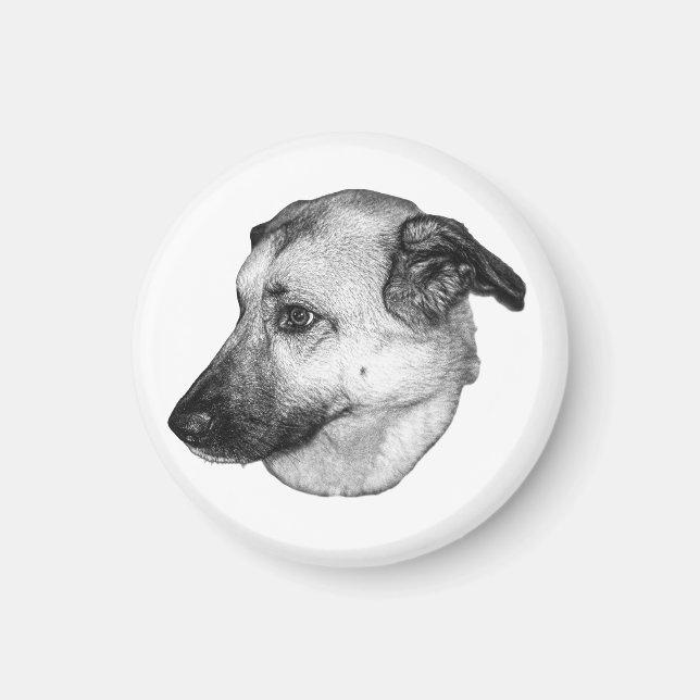 Naturlig Fokus, Hundmagnet Magnet (Framsidan)