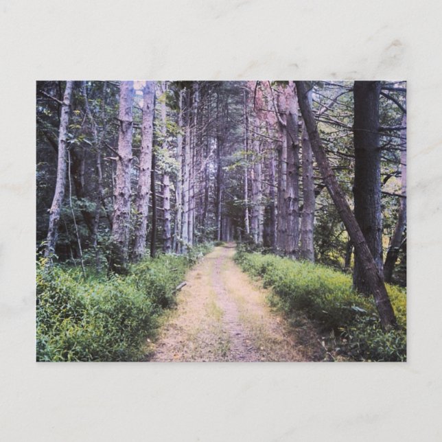 Naturlig förmåga vykort (Framsida)