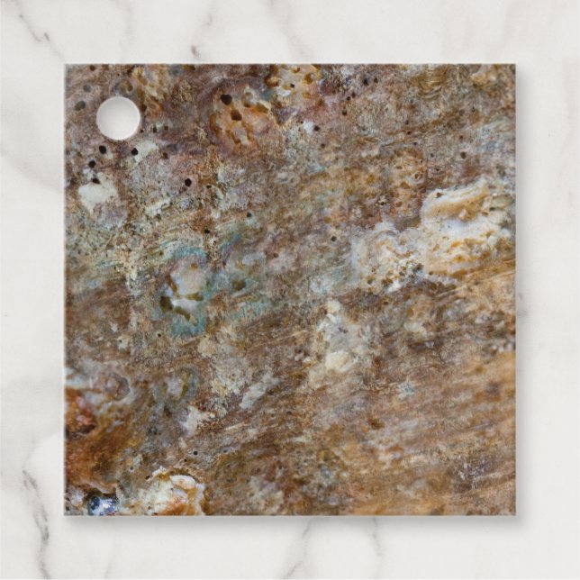 Naturlig Grov Klipp Strand Havsskal Sommar Gåvor Etiketter (Framsida)