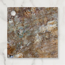 Naturlig Grov Klippstrand Havsskal Sommarlik