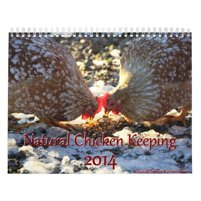 Naturlig höna som håller kalender 2014 + Spetsar (Omslag)