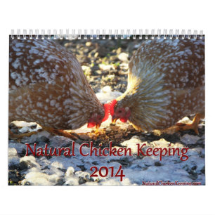 Naturlig höna som håller kalender 2014 + Spetsar