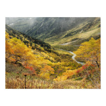 Naturlig höstgult löv