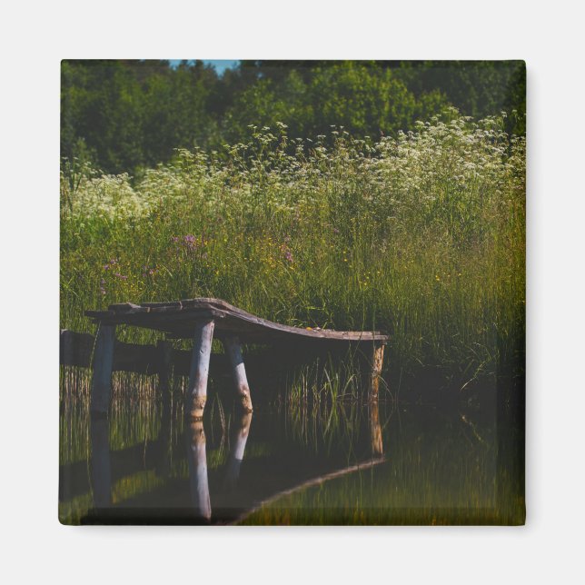 Naturlig landskapsomgivning Gammal dammpir Magnet (Framsidan)