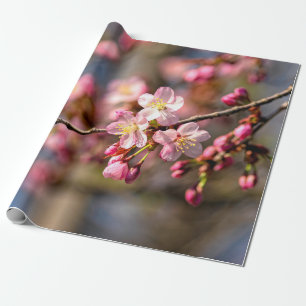Naturlig målning av Sakurablommor på en vinterdag Presentpapper