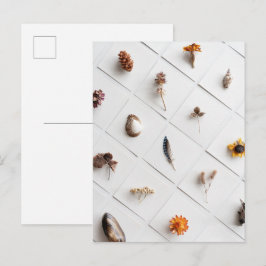 Naturlig Minimalistisk Samling Av Naturföremål Vykort