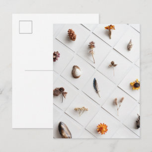 Naturlig Minimalistisk Samling Av Naturföremål Vykort