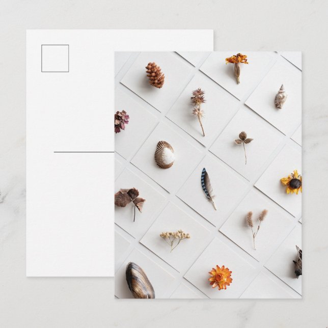 Naturlig Minimalistisk Samling Av Naturföremål Vykort (Fram/baksida)