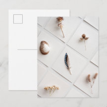 Naturlig Minimalistisk Samling Av Naturföremål