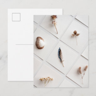 Naturlig Minimalistisk Samling Av Naturföremål Vykort