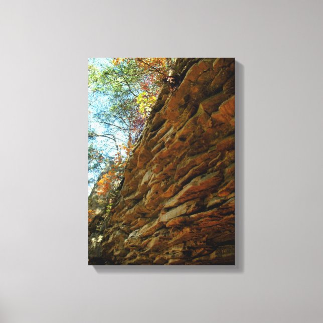 Naturlig mur på Canvas på Sten i lager (Framsida)