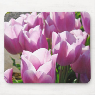 Naturlig musmatta Tulpan Blomma Trädgårdsmusunderl