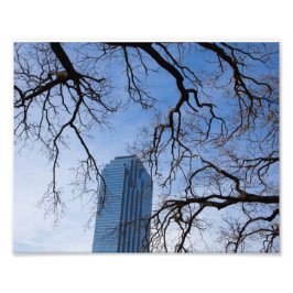 Naturlig och konstgjord i Dallas, Texas Fototryck