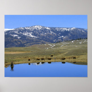 Naturlig reflektion poster