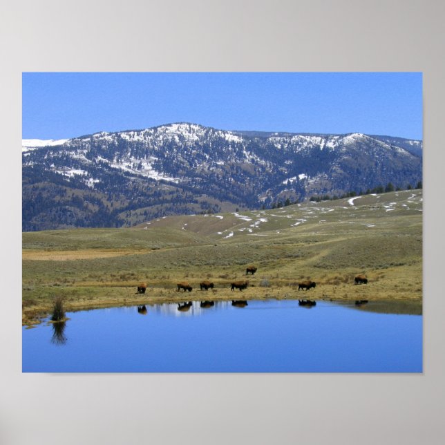 Naturlig reflektion poster (Framsidan)