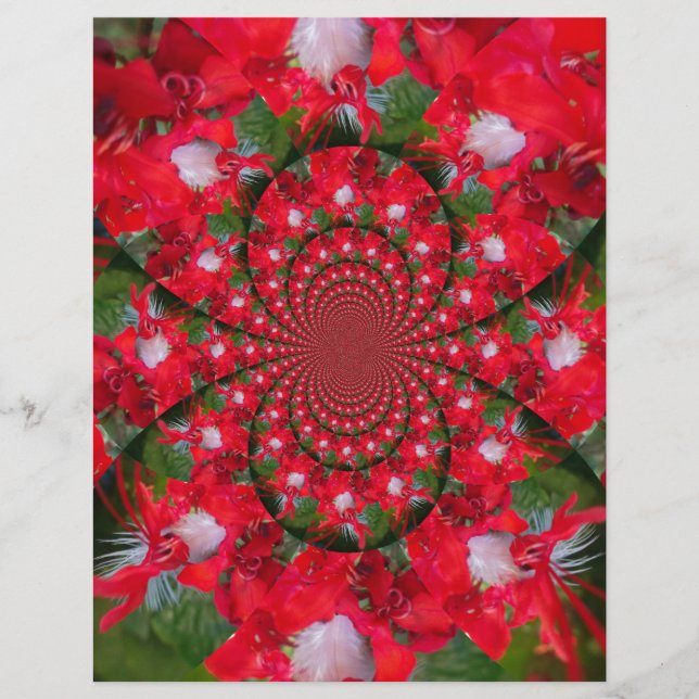 Naturlig rödblommvit ludd Kaleidoscope Art (Framsida)
