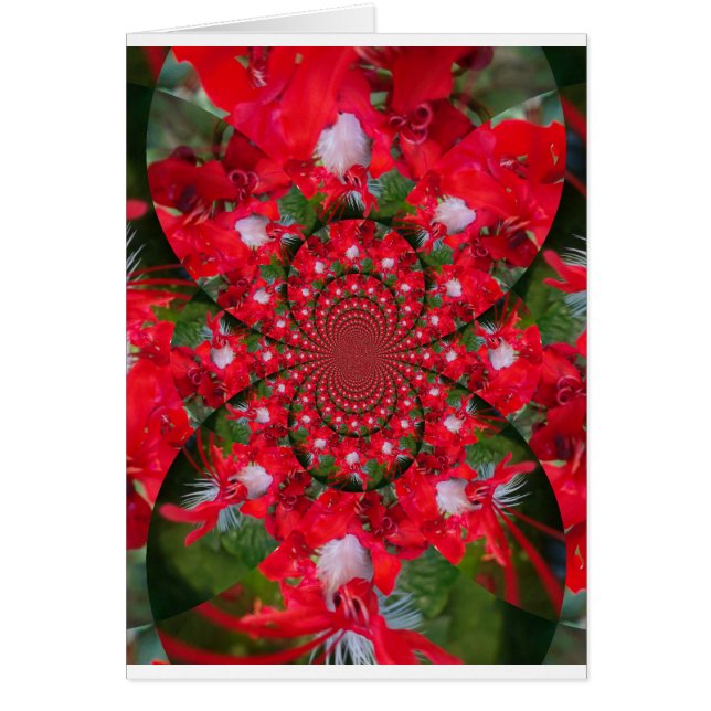 Naturlig rödblommvit ludd Kaleidoscope Art Hälsningskort (Framsidan)