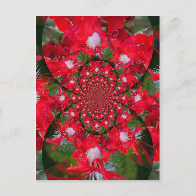 Naturlig rödblommvit ludd Kaleidoscope Art Vykort (Framsida)