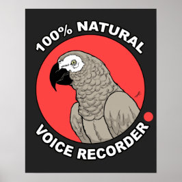 Naturlig röstinspelare poster