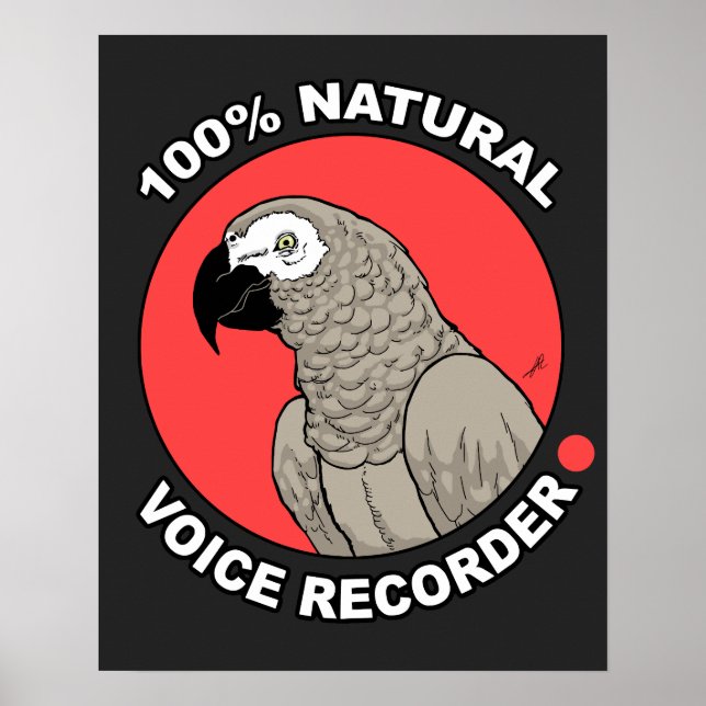 Naturlig röstinspelare poster (Framsidan)