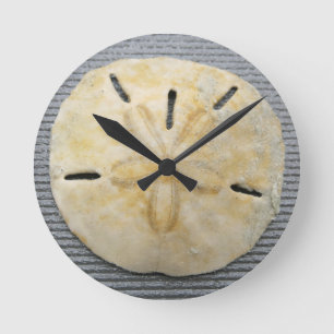 Naturlig Sanddollar Rund Klocka