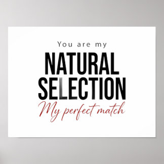 Naturlig Selektion Affisch Biologi Vetenskap Prese